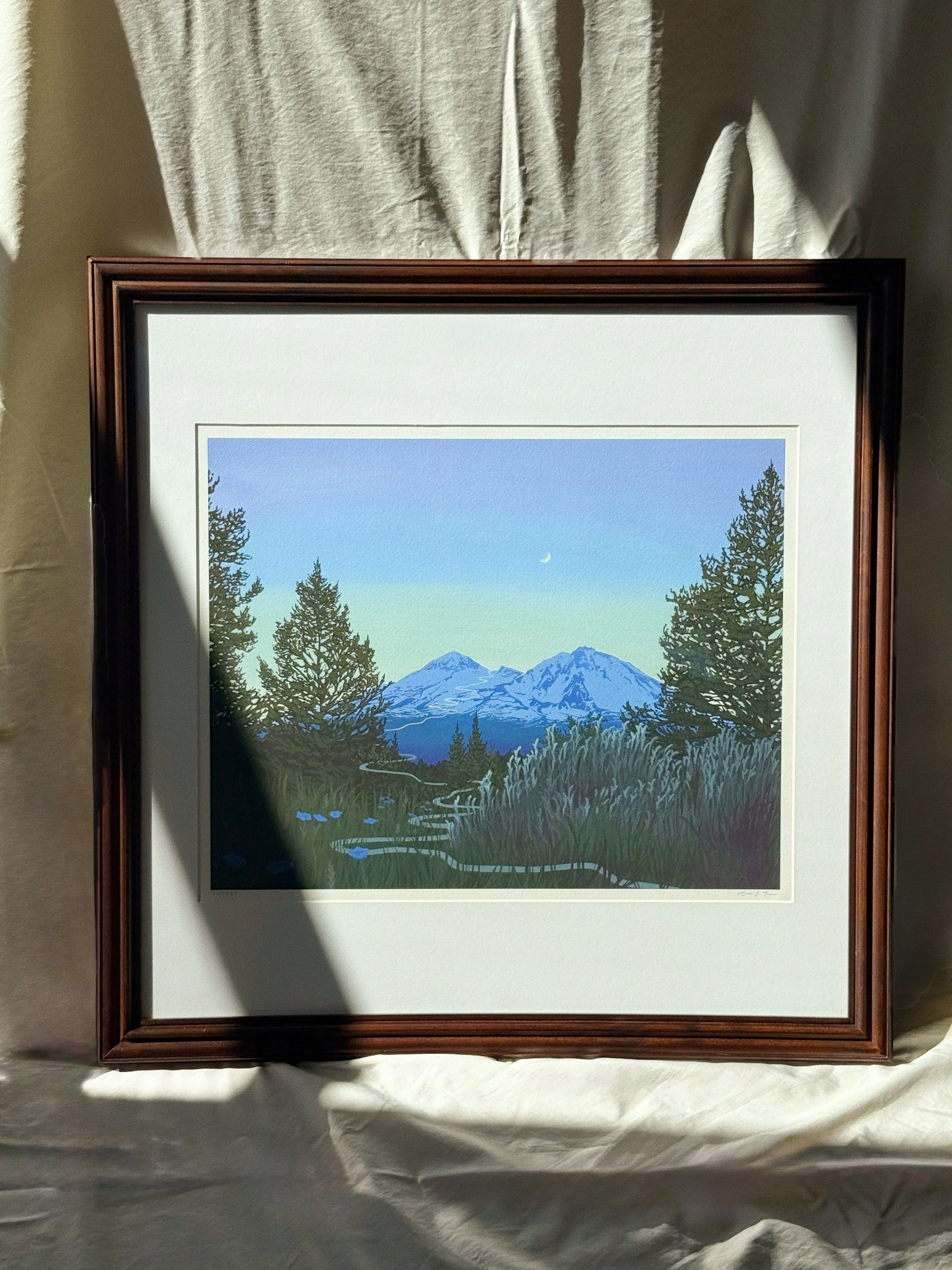 Wildland Framed Prints — Hannah Jensen Creative